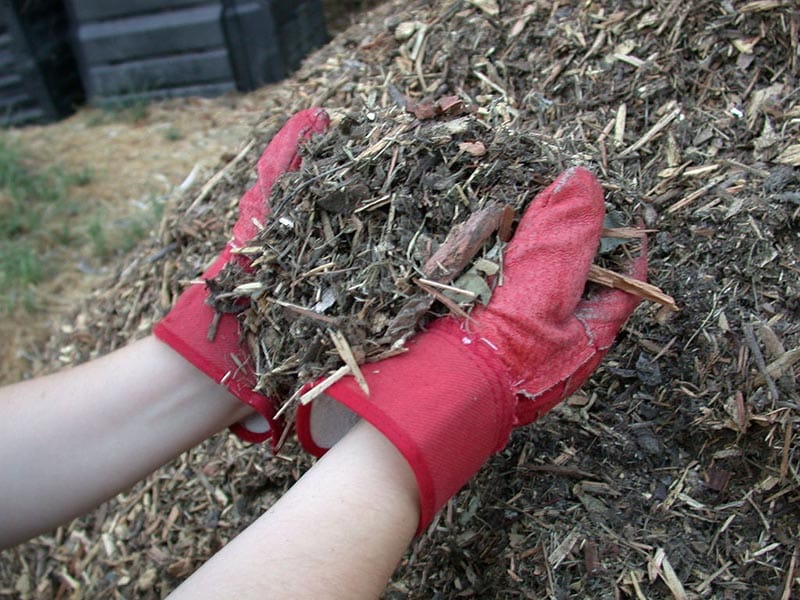 Yard Waste Removal Houston